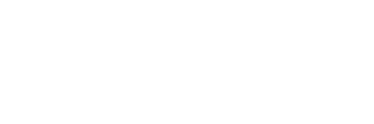 Logo Nexus Pro