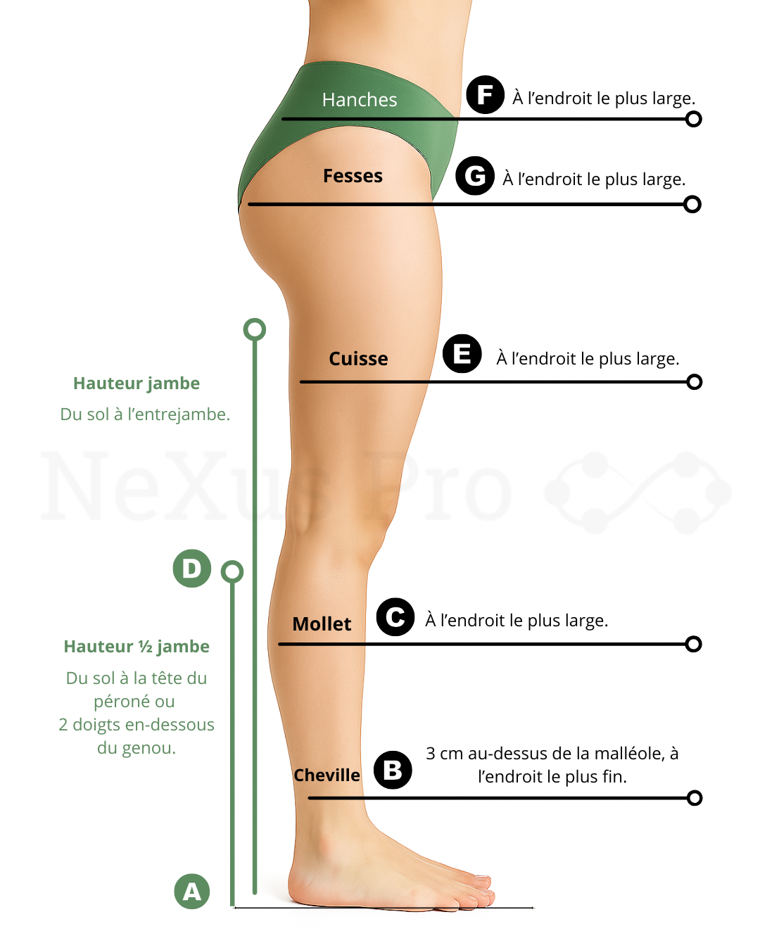 Prise Mesure compression veineuse